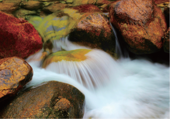 �й�����������(304am-VIP��֤)����-Official Platform