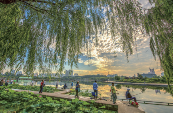 �й�����������(304am-VIP��֤)����-Official Platform