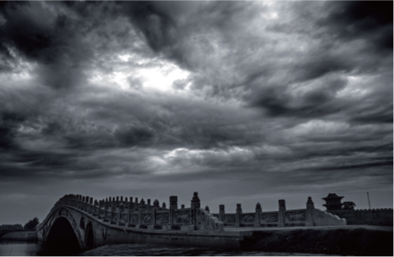 �й�����������(304am-VIP��֤)����-Official Platform