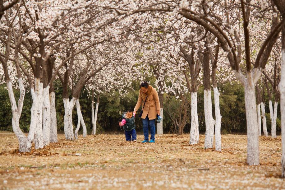 中国·永利集团(304am-VIP认证)官网-Official Platform